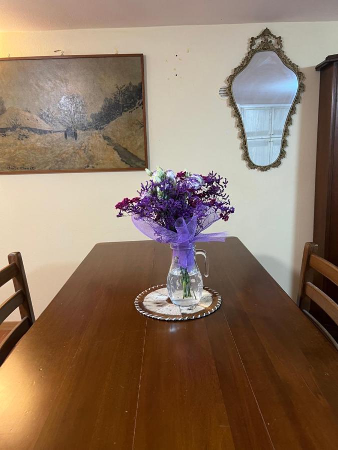 Cozy House Giulia, Wi - Fi , Parking Apartment Ravenna Ngoại thất bức ảnh